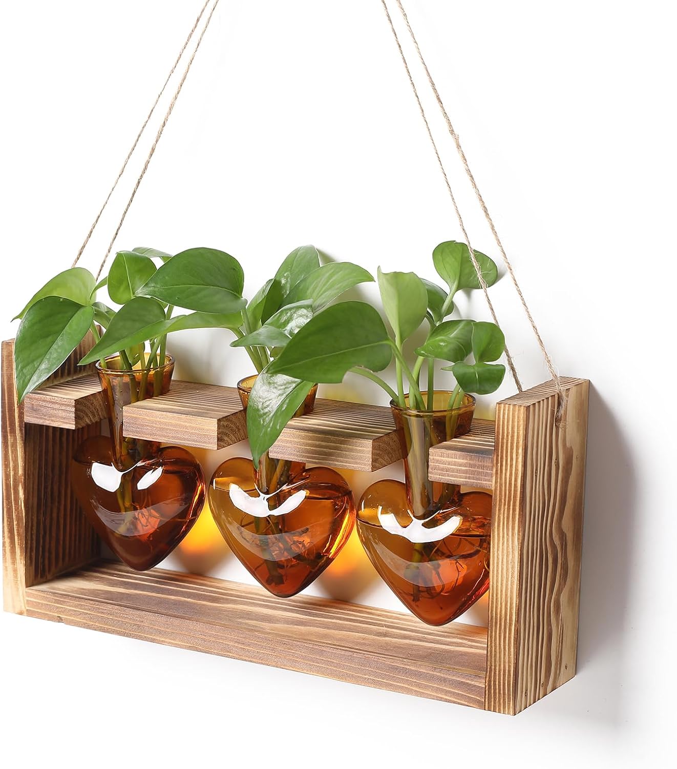 Plant Terrarium Propagation Stations Faith Hope Love Hydroponics Home Garden Decoration Gift for Women with Wooden Stand Heart Shaped Colored Glass Vase