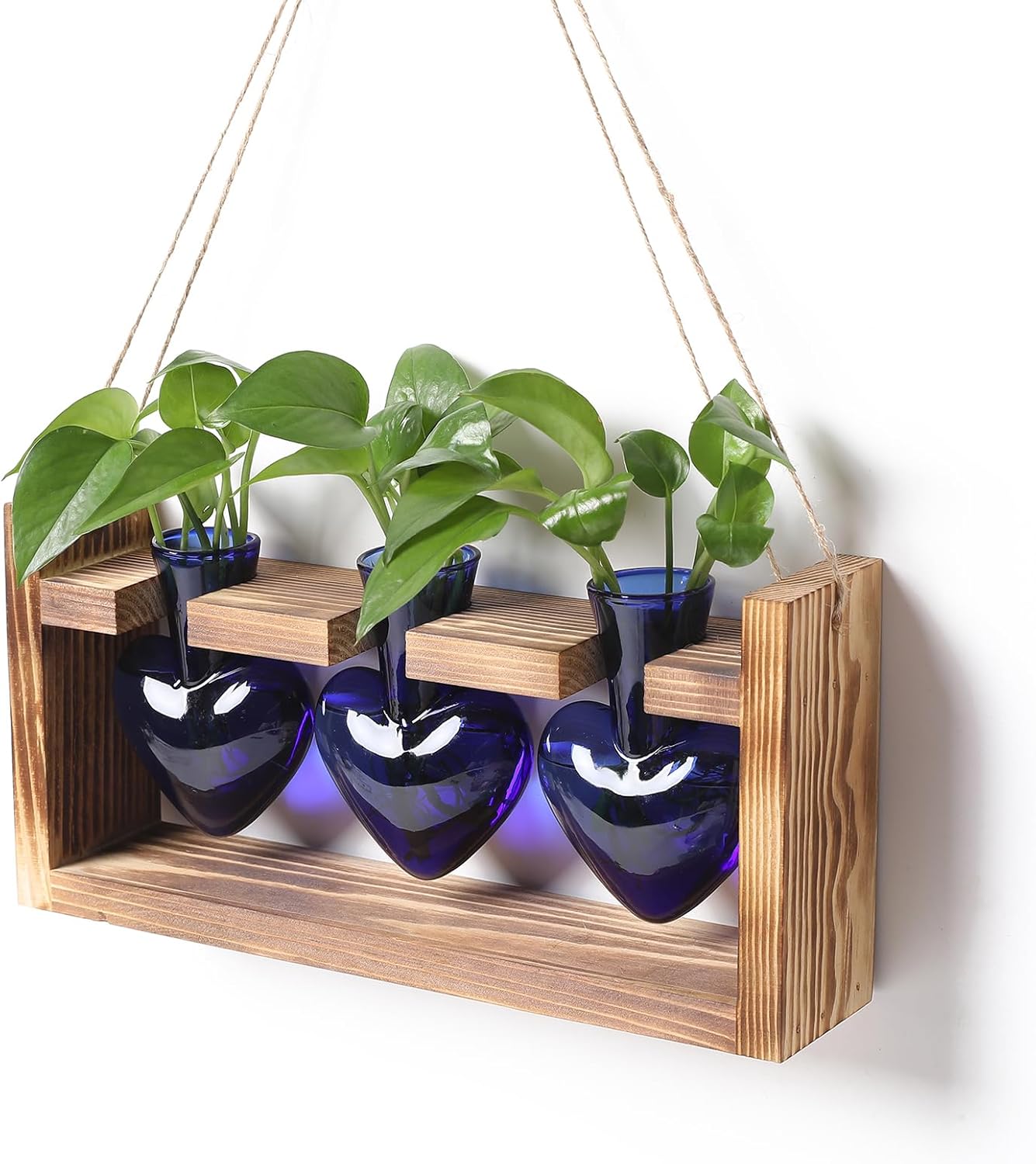 Plant Terrarium Propagation Stations Faith Hope Love Hydroponics Home Garden Decoration Gift for Women with Wooden Stand Heart Shaped Colored Glass Vase